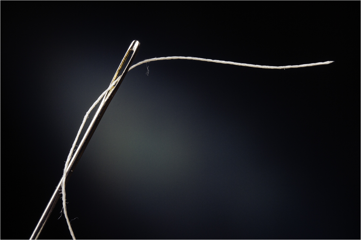 April 2020 - Assigned Subject - Jane Kicks - Needle and Thread